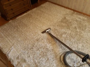 Dywan odzyskuje biel dzięki praniu z Gunarem 2