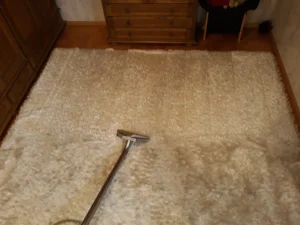 Dywan odzyskuje biel dzięki praniu z Gunarem