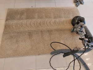 Jasny czysty pas na dywanie to efekt prania maszyną Rotovac 360i