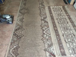 Pieski klienta zabrudziły chodniczek ale my go zaraz wyczyścimy