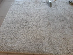 Włochaty dywan shaggy - czyszczenie ekstrakcyjne